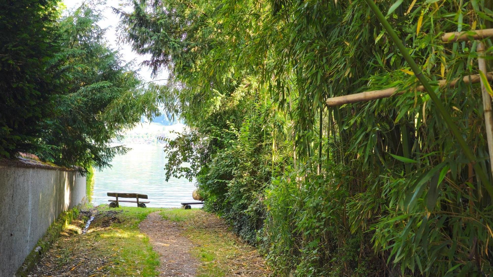 Seepanorama อูนิงเกน ภายนอก รูปภาพ